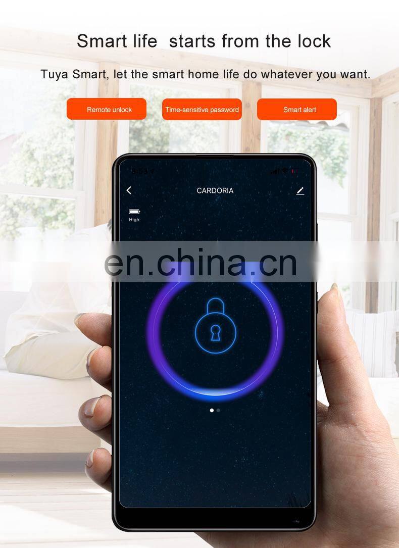 High Quality Safe Keyless Biometric Fingerprint Tuya Smart Lock For Hotel
