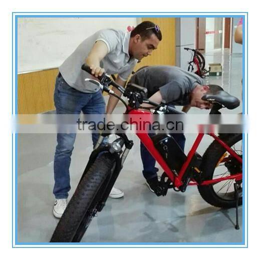 fashion electric bicycle,electric bicycle conversion kit,cheap electric bicycle kit