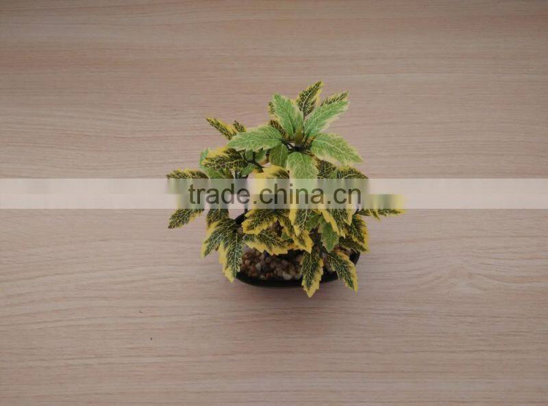 outdoor bonsai rose blossom tree,mini fake agave plant treens