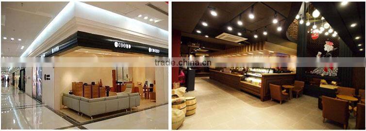 high efficiently COB led par30 screw Tracking Light