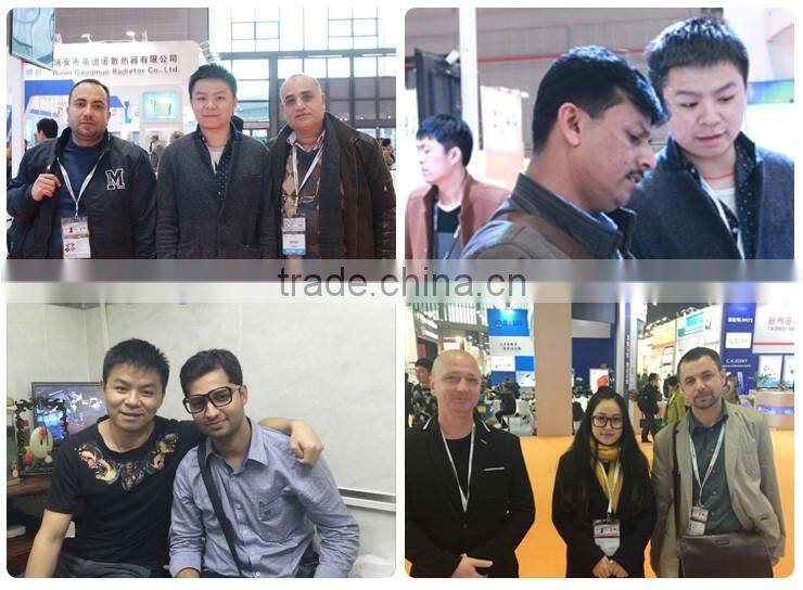 Auto Spare Parts of 17048-SWE-T00 Fuel Filter for Honda for CITY for CRV for FIT