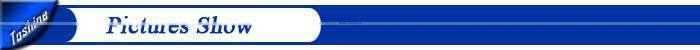 aluminum curtain wall