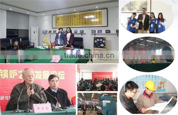 2016 high quality DZH series 2000kg/h wood burning boilers