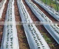 plastic film blowing biodegradable plastic film