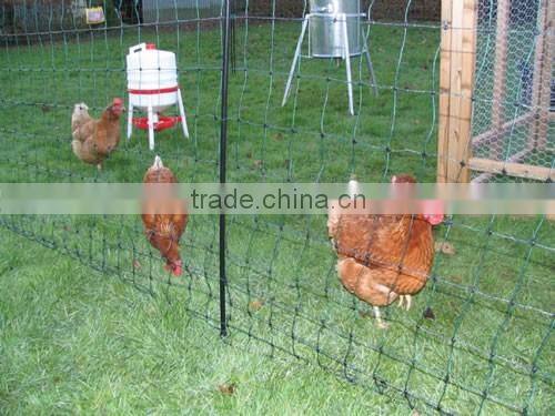BOP UV stabilised chicken net for agriculture /plastic poultry net