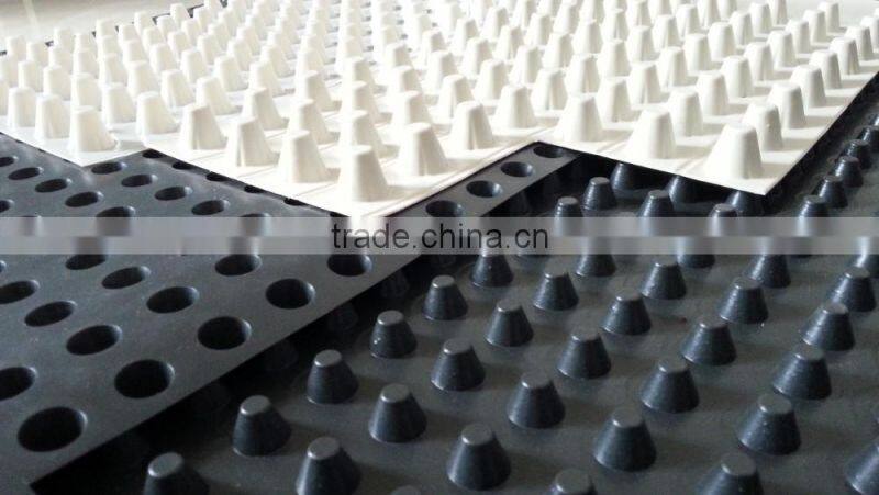 hdpe sheet dimple drain board/ dimple Drain board