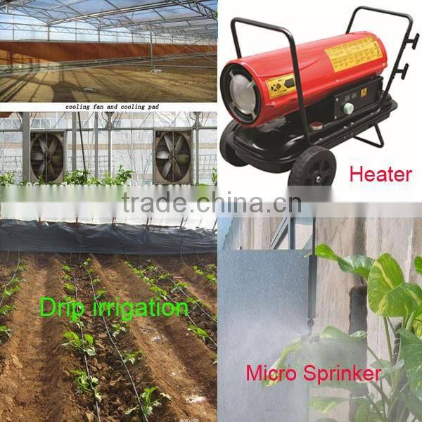 Professional solar high tunnel hot galvanized steel green houses for agriculture