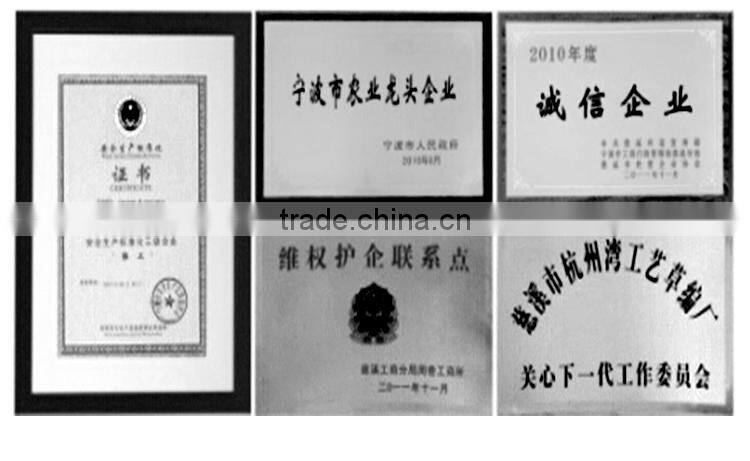 China new design popular paper hat patterns gift