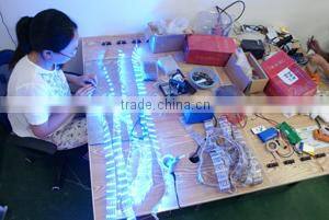 LED Belly Dance Wings / Remote Controlled Butteryfly Wings for Stage Performance