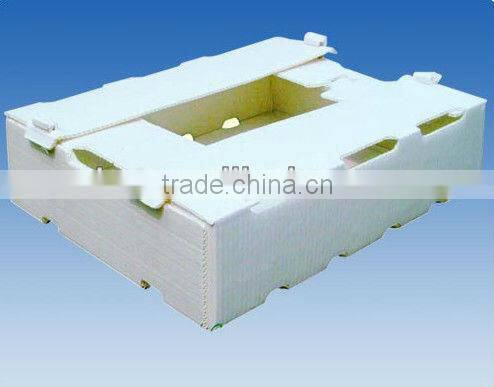 custom paper display racks