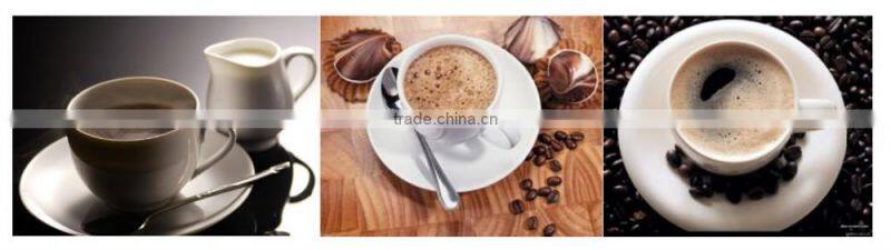 CN40N non dairy creamer/coffee creamer coffee whiteners high purity 34% fat 2.7% protein