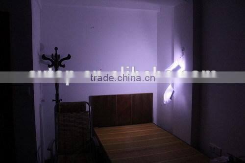 Inflatable Light Balloon
