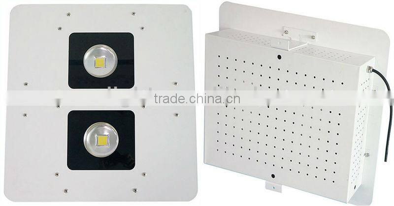 Meanwell Explosion Proof Lamp CE Rohs COB LED Work Light Explosion Proof Light