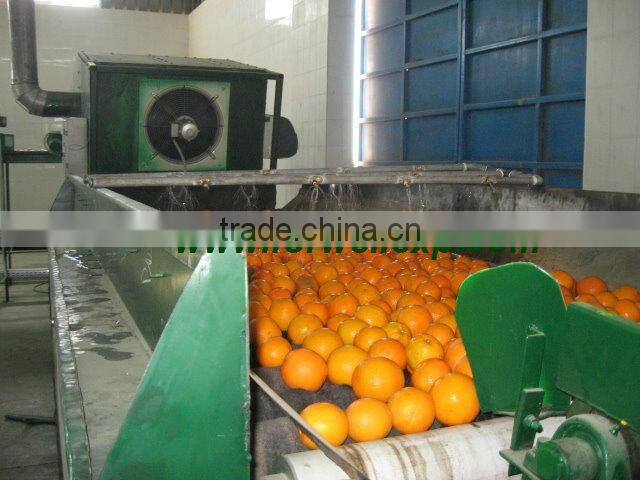 promotion of Fresh Orange