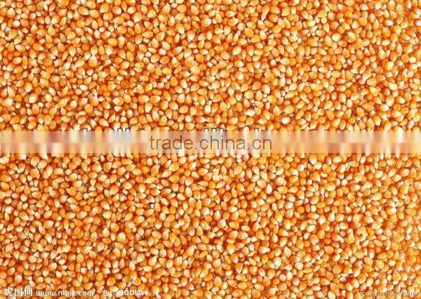 Corn planter/corn seed planter with fertilizer//008613676951397