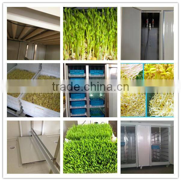 garlic sprout/bean sprout making machine