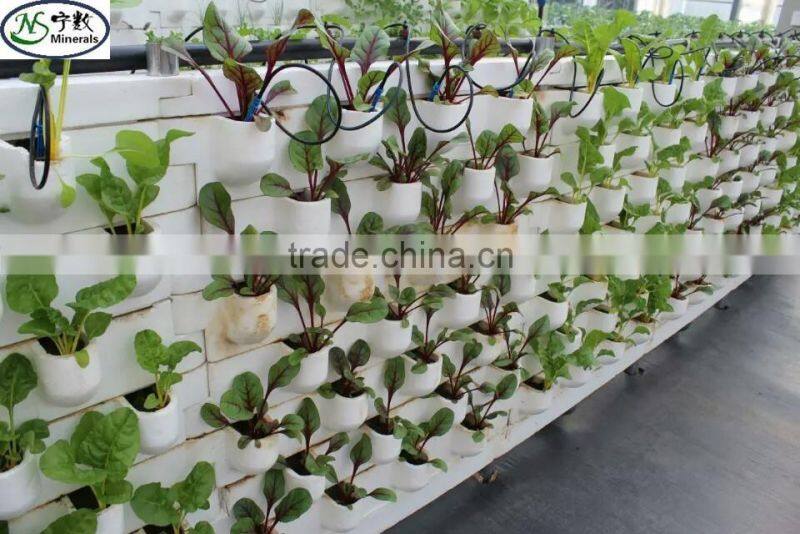 expanded perlite for seedlings, grow composts, soil conditioner