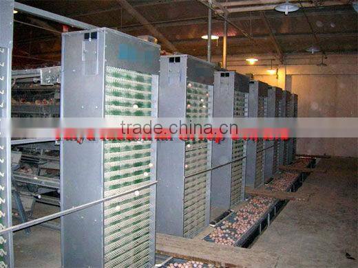 TAIYU poultry equipment price (Professional Manufacturers (design poultry farm,Long durability,lifespan from 5 years to 28 year