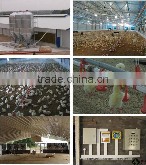 cheap price high quality turnkey poultry farm in africa