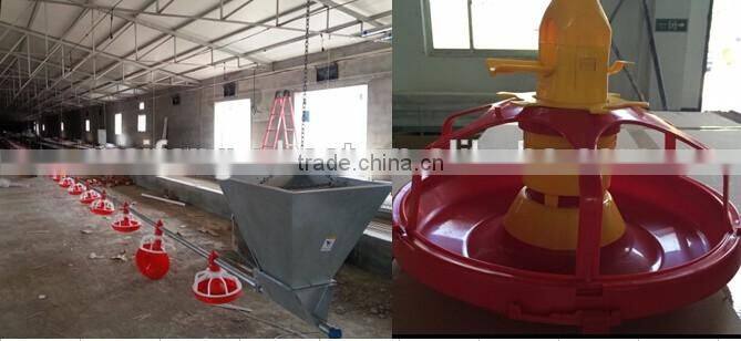 automatic feeders for poultry chickens