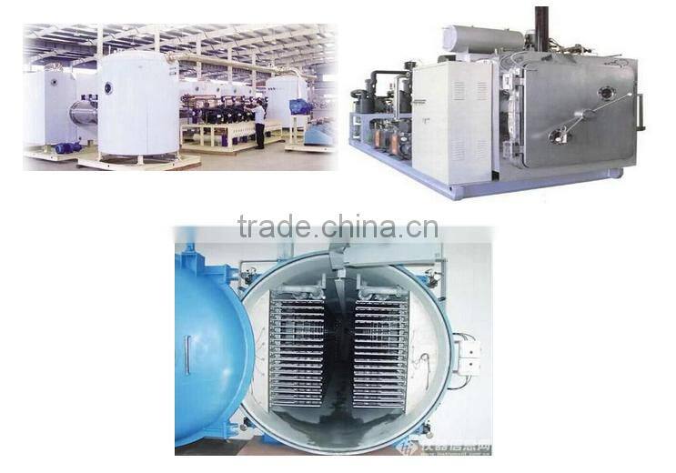 JK-FD-20N Vacuum food Freeze Dryer fruit apply berry freezer dryer