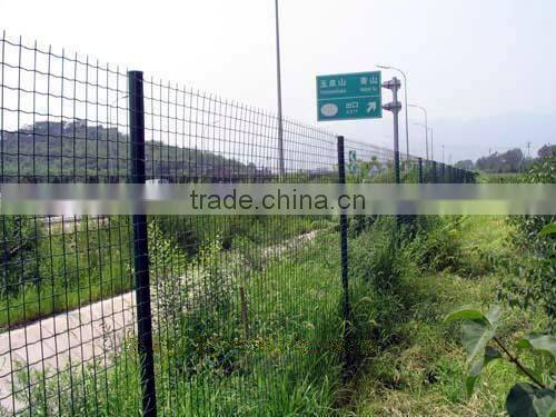 High Quality Plastic Coated Holland /Dutch Wire Mesh /Euro Fence (holland wire mesh,holland wire mesh