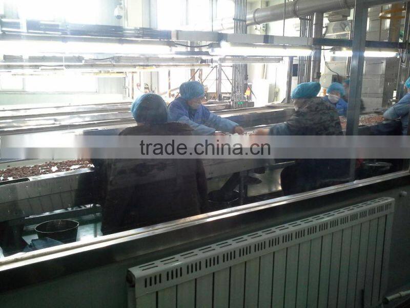 Peanut kernal precise selection line