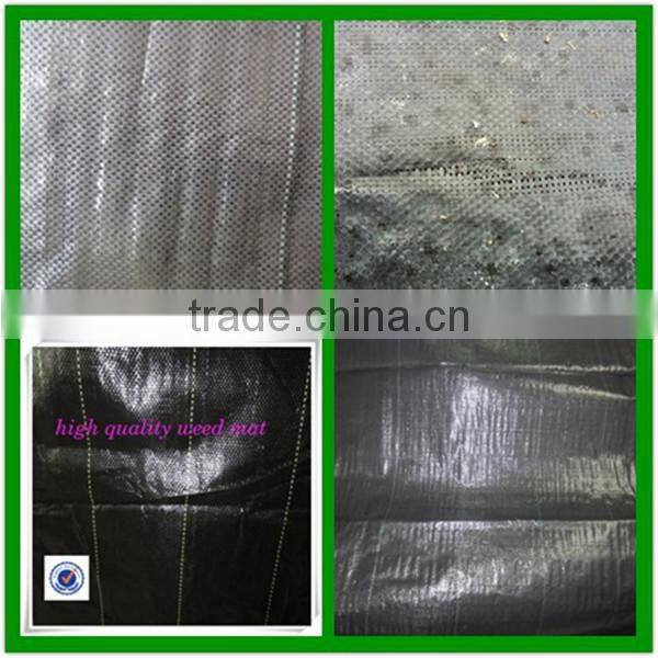 Agricultural greenhouse pp ground cover fabric black weed mat