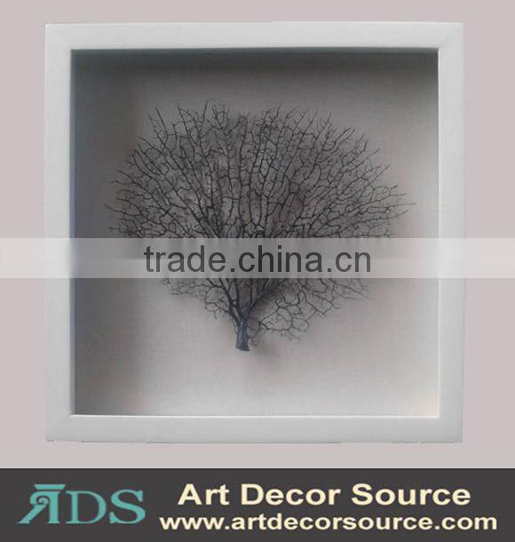 Marine Plants in Shadow Box Frame