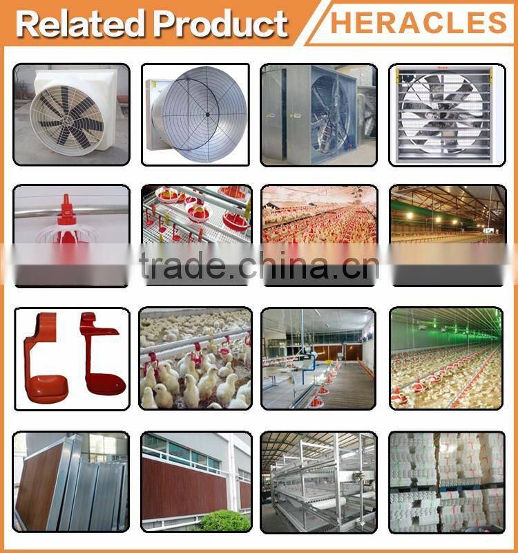 Factory price automatic layer cage for sale