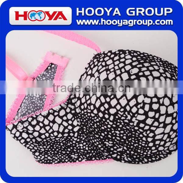 2016 Latest Sexy Design Net Bra Ladies Bra And Panties