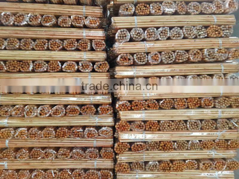 Lacquer Wooden Broom Handles with screw and straight cut end