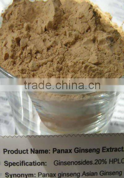 Hotsale Ginseng extract GMP factory granule