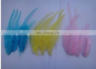 pheasant feather for decorate