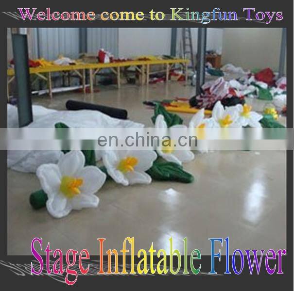 2014 seastar inflatable LED decoration