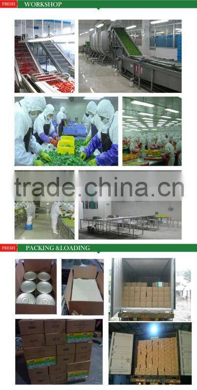 tinned and plastic packed canned tomato ketchup