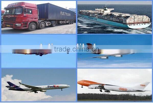 Hot Sale outdoor patio heater, patio heater gas, gas patio heater(ZQW-B)