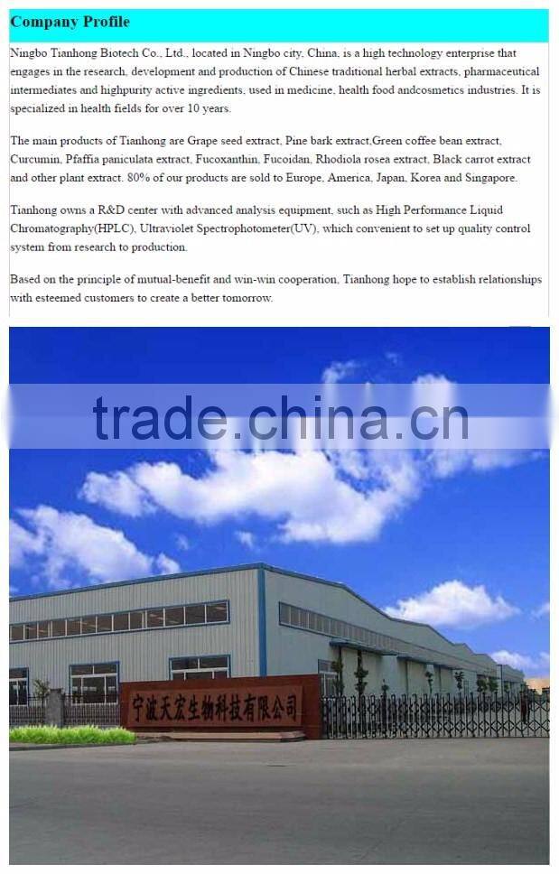 Brazil panax ginseng extract powder with high quality
