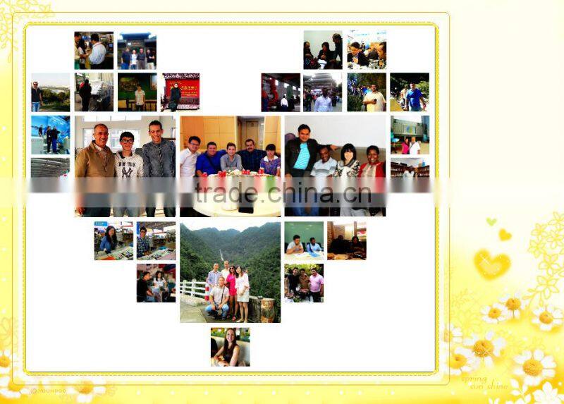 China Best Price Seafood Vacuum Packaging Machine Manufacturer with Top Service