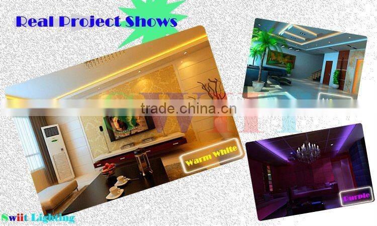 Hot Sale Waterproof IP65 220V/110V LED Strip RGB CE&RoHs Approved