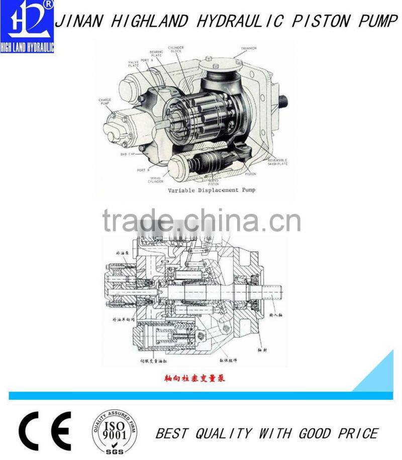 Hot sales hydraulic pumps for fiat tractors
