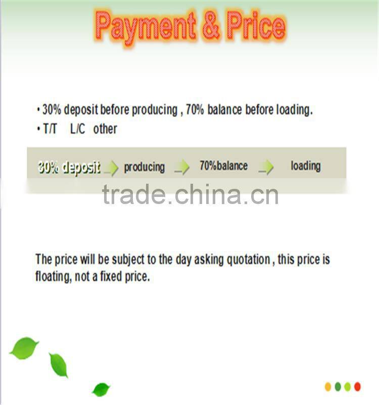 Hot sale PE material 2016 new style artificial hanging basket plant for wall decoration