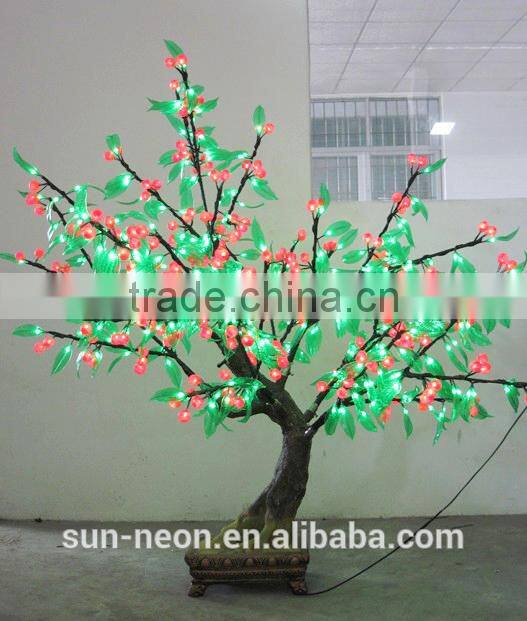 bonsai tree sale