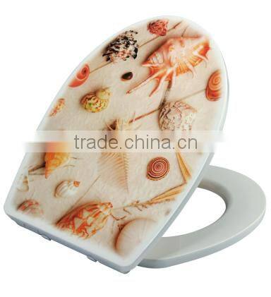 Urea formaldehyde toilet with beautiful applique cover
