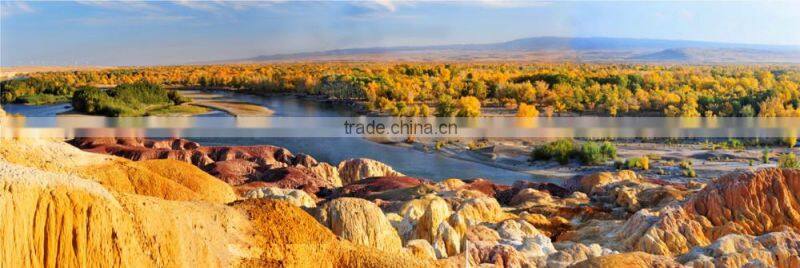 CS10 Modern Handmade Home Decoration Beautiful Scenery Wall Oil Painting