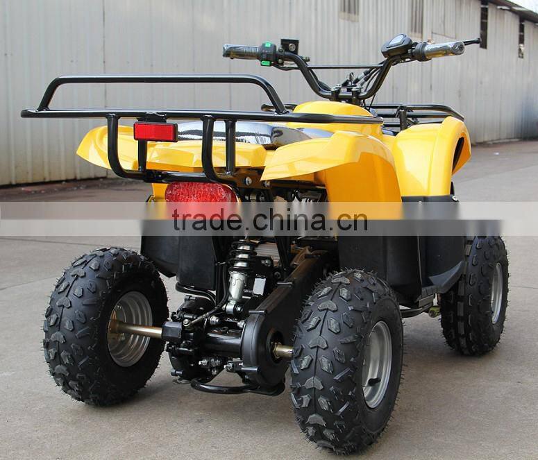 1000W Four Wheel Beach Buggy Amphibious Quad