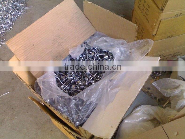 Construction common nails