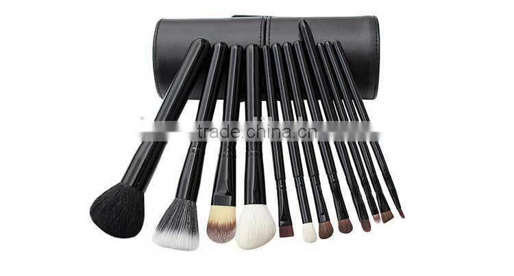 Professional Nylon Goat and Horse Hair 12Pcs Makeup Brush Tools