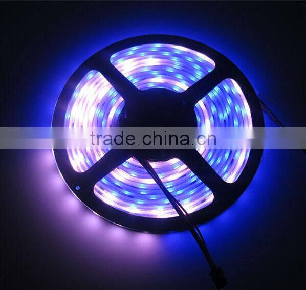Waterproof dmx rgb led strip ws2801 ip67