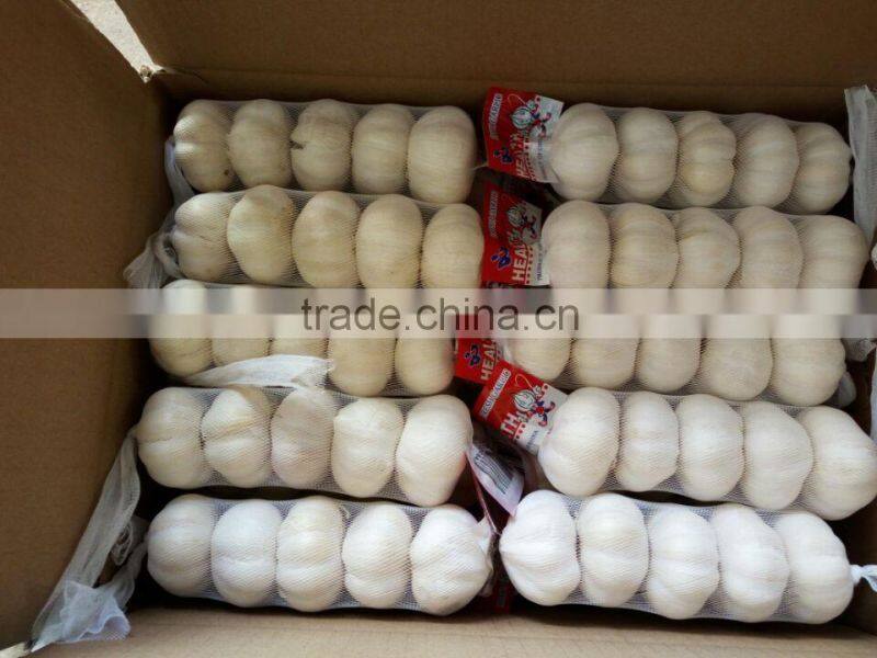 Supply 2016 Fresh Normal White Garlic